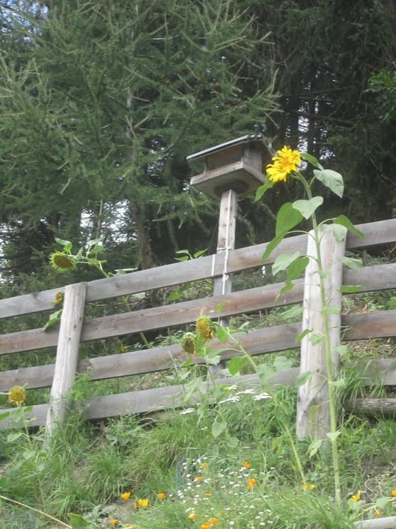 Ferienhaus Fichtenheim Prägraten 外观 照片